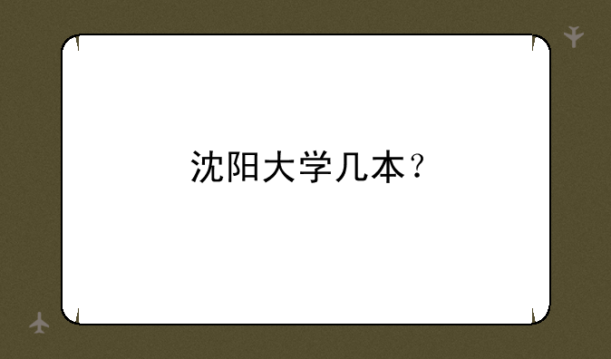 沈阳大学几本？