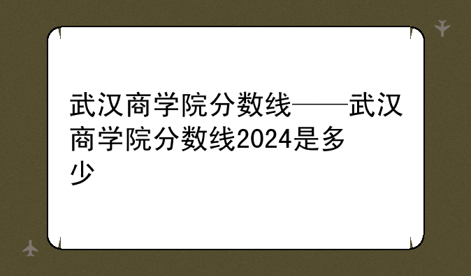武汉商学院分数线——武汉商学院分数线2024是多少